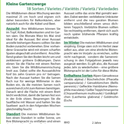 Blumenwiese Kleine Gartenzwerge | Wildblumenwiese Von Saflax