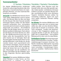 Blumenwiese Sonnenanbeter | Wildblumenwiese Von Saflax