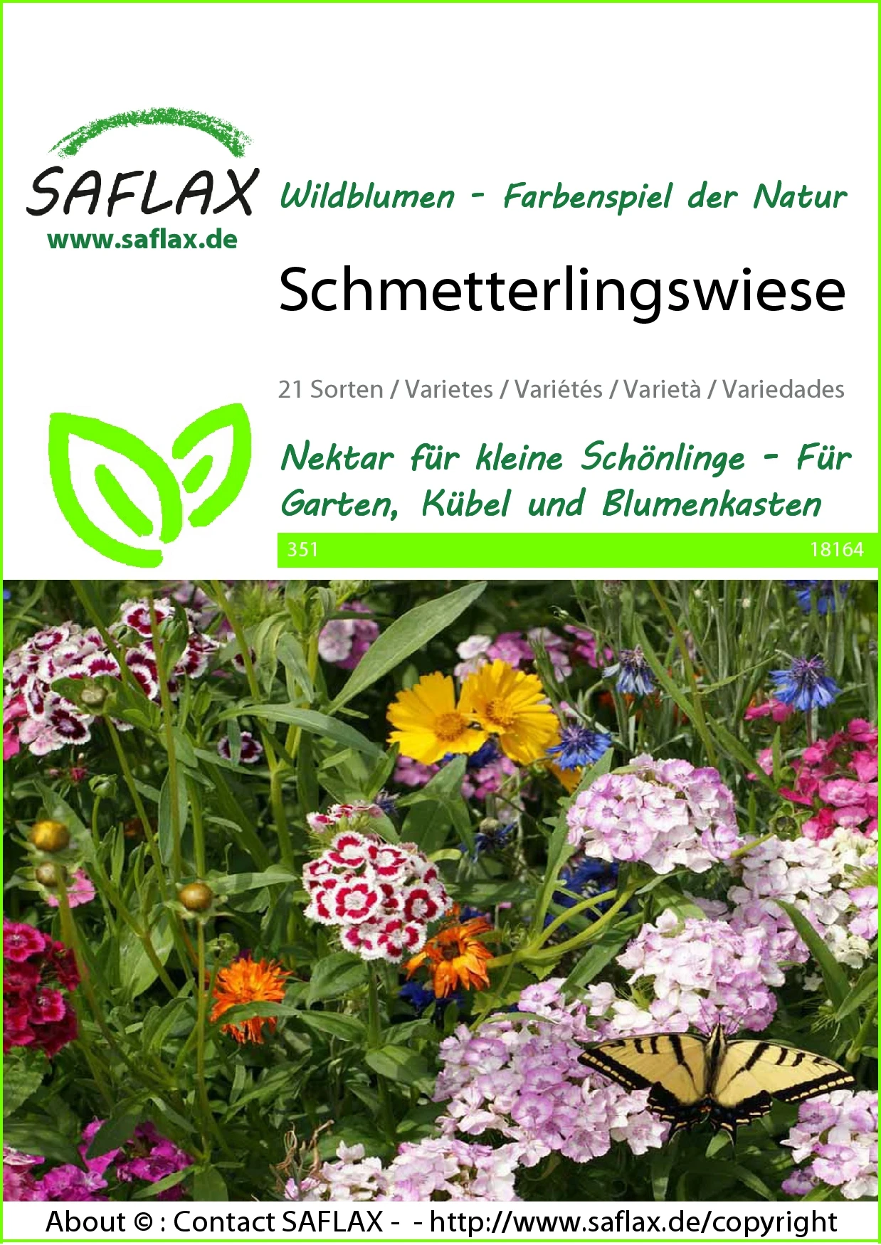 Blumenwiese Schmetterlingswiese | Schmetterlingswiese Von Saflax 1 Blumenwiese Schmetterlingswiese | Schmetterlingswiese Von Saflax