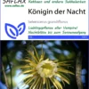 Kaktus Königin Der Nacht | Kaktussamen Von Saflax