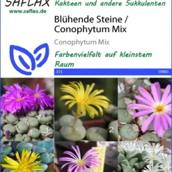 Blühende Steine Conophytum Mix | Kaktussamen Von Saflax