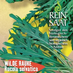 Wilde Rauke Rucola Selvatica | BIO Raukesamen Von Reinsaat