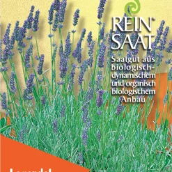 Lavendel | BIO Lavendelsamen Von Reinsaat