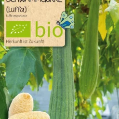 Beet-Box "Raritätenbox" | BIO Gemüsesamen-Sets Von Samen Maier