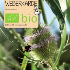 Beet-Box "Raritätenbox" | BIO Gemüsesamen-Sets Von Samen Maier -Blumen Raum Verkaufsgeschäft 536228 BIO Beet Box Raritaetenbox BB09 sm 5