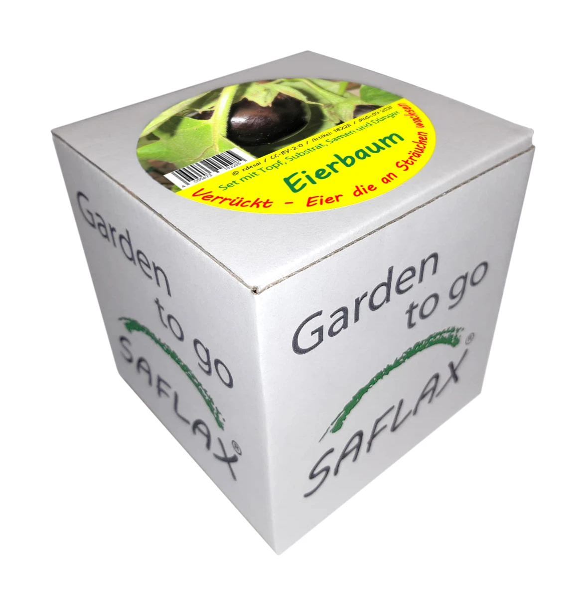Eierbaum | Anzuchtsets Von Saflax 2 Eierbaum | Anzuchtsets Von Saflax – Bild 2