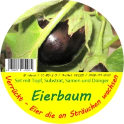 Eierbaum | Anzuchtsets Von Saflax