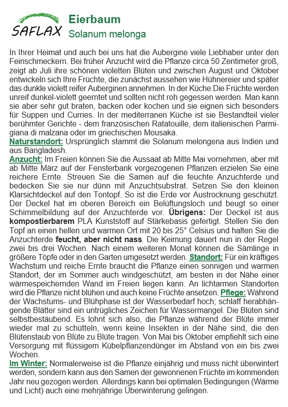 Eierbaum | Anzuchtsets Von Saflax 3 Eierbaum | Anzuchtsets Von Saflax – Bild 3