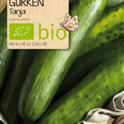 Beet-Box "Gute Nachbarn" | BIO Gemüsesamen-Sets Von Samen Maier -Blumen Raum Verkaufsgeschäft 536703 BIO Beet Box Gute Nachbarn BB03 sm 1