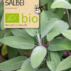 Beet-Box "Für Hobby-Franzosen" | BIO Kräutersamen-Sets Von Samen Maier