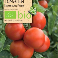 Beet-Box "Für Teilzeit-Italiener" | BIO Gemüsesamen-Sets Von Samen Maier -Blumen Raum Verkaufsgeschäft 536706 BIO Beet Box Fuer Teilzeit Italiener BB06 sm 4