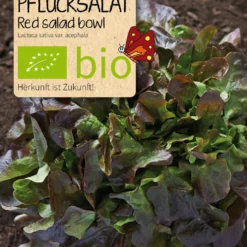 Beet-Box "Für Balkonien-Urlauber" | BIO Gemüsesamen-Sets Von Samen Maier 11 Beet-Box "Für Balkonien-Urlauber" | BIO Gemüsesamen-Sets Von Samen Maier -Blumen Raum Verkaufsgeschäft 536708 BIO Beet Box Fuer Balkonien Urlauber BB08 sm 3