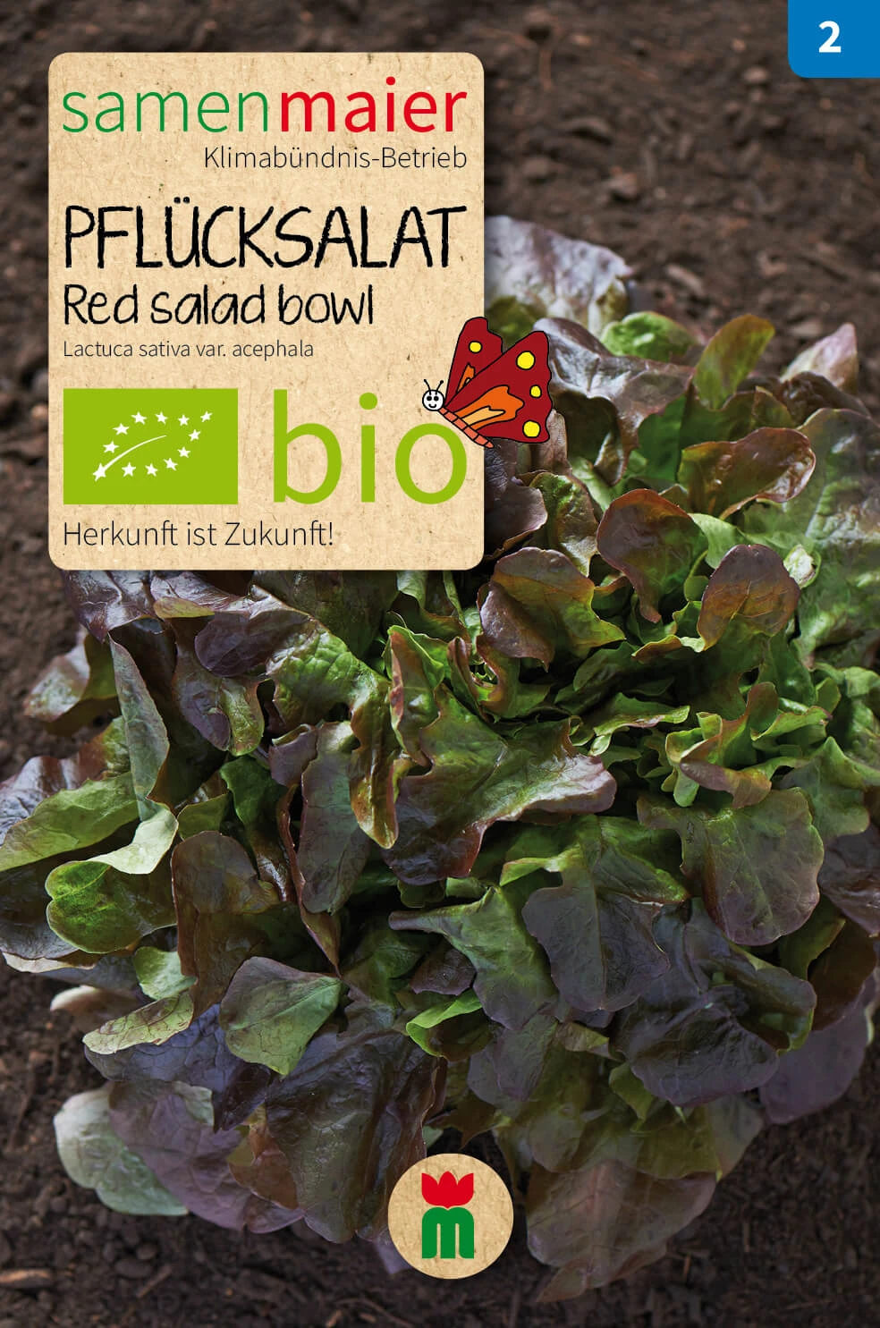 Beet-Box "Für Balkonien-Urlauber" | BIO Gemüsesamen-Sets Von Samen Maier 6 Beet-Box "Für Balkonien-Urlauber" | BIO Gemüsesamen-Sets Von Samen Maier – Bild 6
