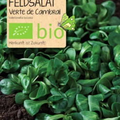 Beet-Box "Für Smoothie-Maker" | BIO Gemüsesamen-Sets Von Samen Maier -Blumen Raum Verkaufsgeschäft 536710 BIO Beet Box Fuer Smoothie Maker BB12 sm 1