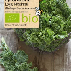 Beet-Box "Für Smoothie-Maker" | BIO Gemüsesamen-Sets Von Samen Maier -Blumen Raum Verkaufsgeschäft 536710 BIO Beet Box Fuer Smoothie Maker BB12 sm 2