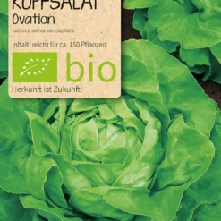 Beet-Box "Für Smoothie-Maker" | BIO Gemüsesamen-Sets Von Samen Maier -Blumen Raum Verkaufsgeschäft 536710 BIO Beet Box Fuer Smoothie Maker BB12 sm 4