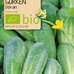 Beet-Box "Für Den Gewächshausgärtner" | BIO Gemüsesamen-Sets Von Samen Maier