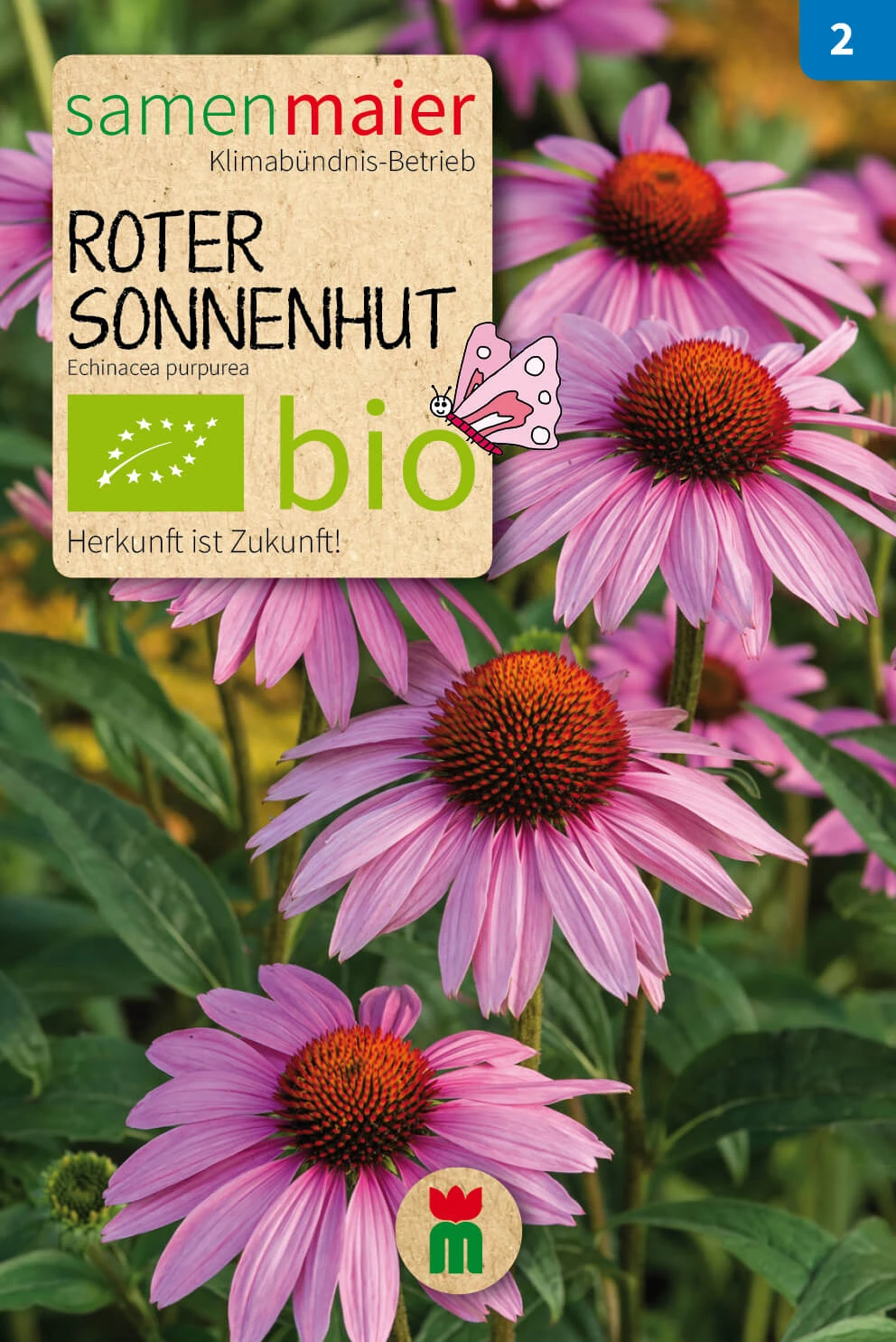 Beet-Box "Für Einen Blumengruß" | BIO Blumensamen-Sets Von Samen Maier 5 Beet-Box "Für Einen Blumengruß" | BIO Blumensamen-Sets Von Samen Maier – Bild 5