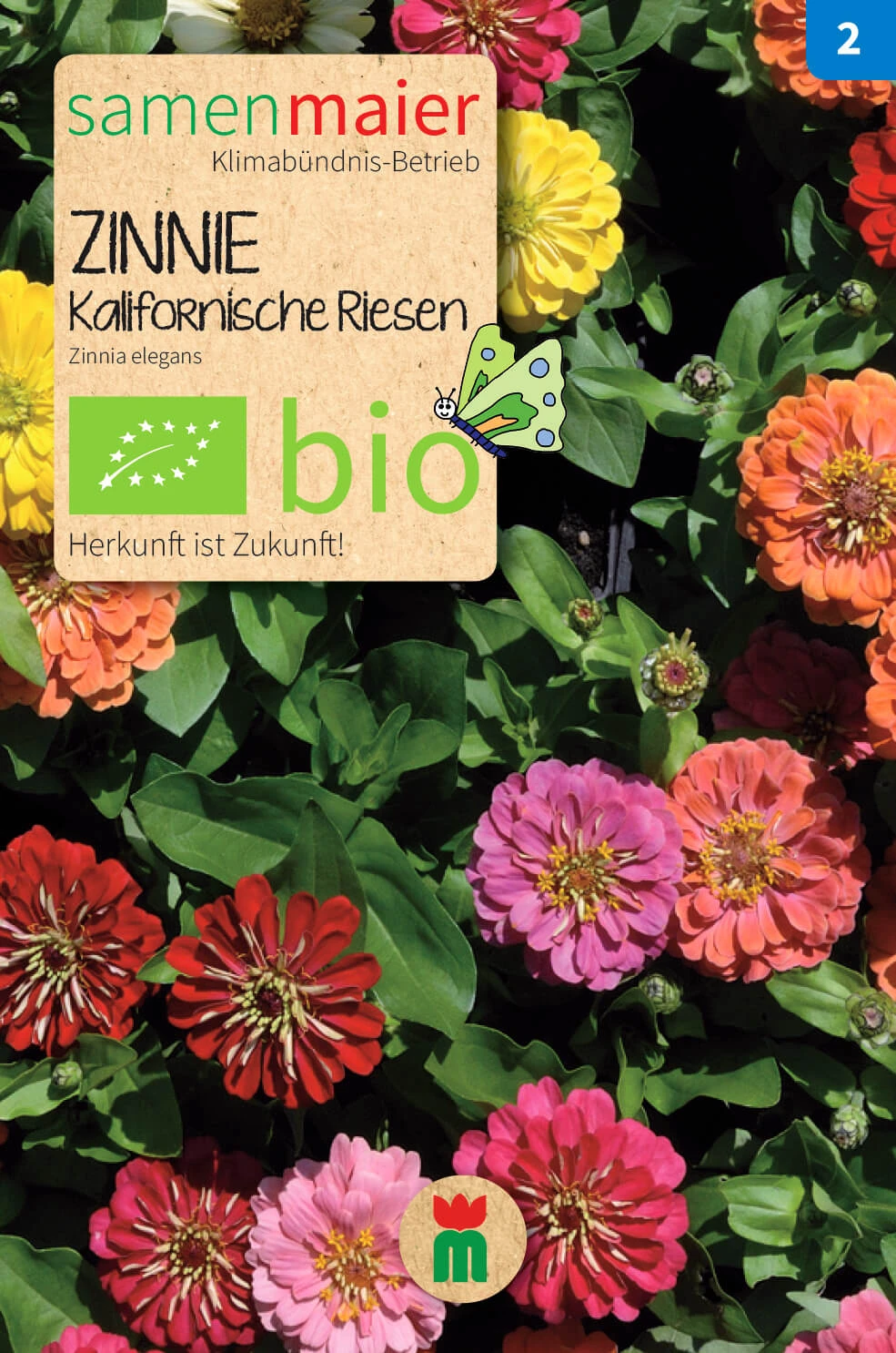 Beet-Box "Für Einen Blumengruß" | BIO Blumensamen-Sets Von Samen Maier 2 Beet-Box "Für Einen Blumengruß" | BIO Blumensamen-Sets Von Samen Maier – Bild 2