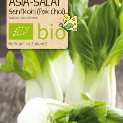 Beet-Box "Für Asia Köche" | BIO Gemüsesamen-Sets Von Samen Maier -Blumen Raum Verkaufsgeschäft 536720 BIO Beet Box Fuer Asia Koeche BB24 sm 2
