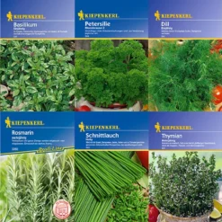 Kräuter - Saat - Sortiment Mit 9 Sorten | Kräutersamen-Sets Von Kiepenkerl