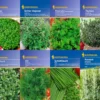 Kräuter-Saat-Sortiment Mit 8 Sorten | Kräutersamen Von Kiepenkerl