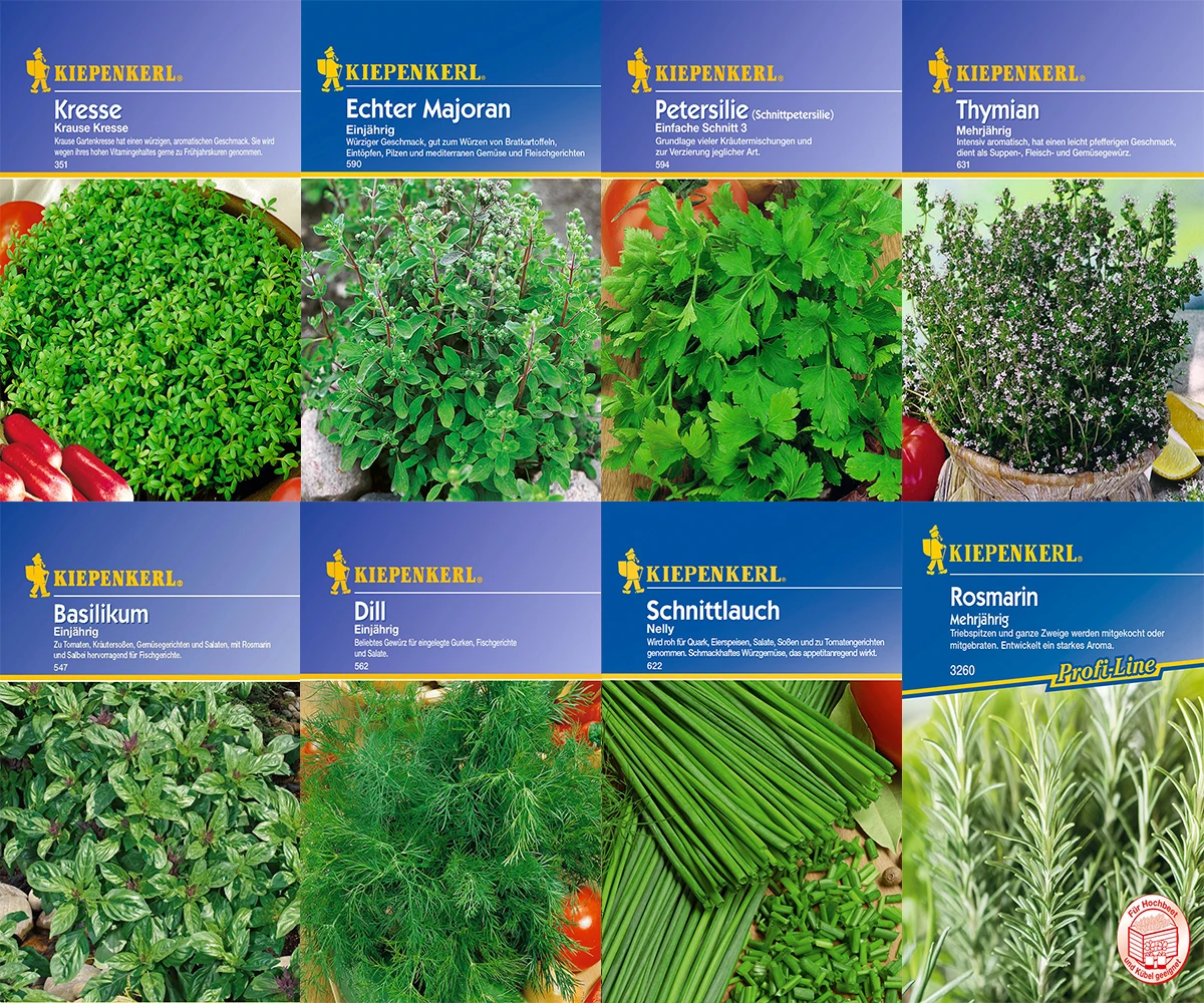 Kräuter-Saat-Sortiment Mit 8 Sorten | Kräutersamen Von Kiepenkerl 1 Kräuter-Saat-Sortiment Mit 8 Sorten | Kräutersamen Von Kiepenkerl