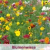 Meissner Blütenfeuerwerk (100 G) | Bienenwiese Von Küpper