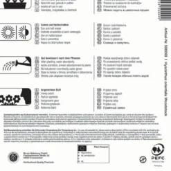 Hyazinthe Woodstock (3 Stück) | Hyazinthenzwiebeln Von Kiepenkerl