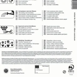 Zierlauch Caeruleum (15 Stück) | Alliumzwiebeln Von Kiepenkerl