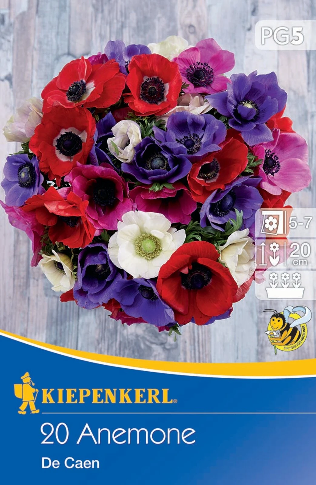 Kronen-Anemone De Caen Mischung (20 Stück) | Anemonenknollen Von Kiepenkerl 2 Kronen-Anemone De Caen Mischung (20 Stück) | Anemonenknollen Von Kiepenkerl – Bild 2