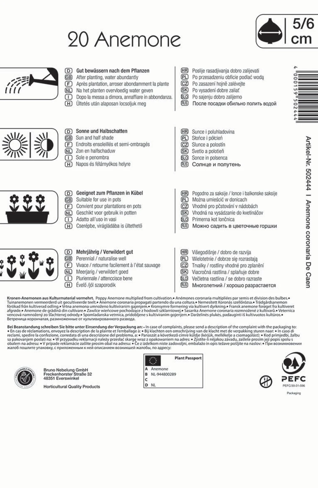 Kronen-Anemone De Caen Mischung (20 Stück) | Anemonenknollen Von Kiepenkerl 1 Kronen-Anemone De Caen Mischung (20 Stück) | Anemonenknollen Von Kiepenkerl