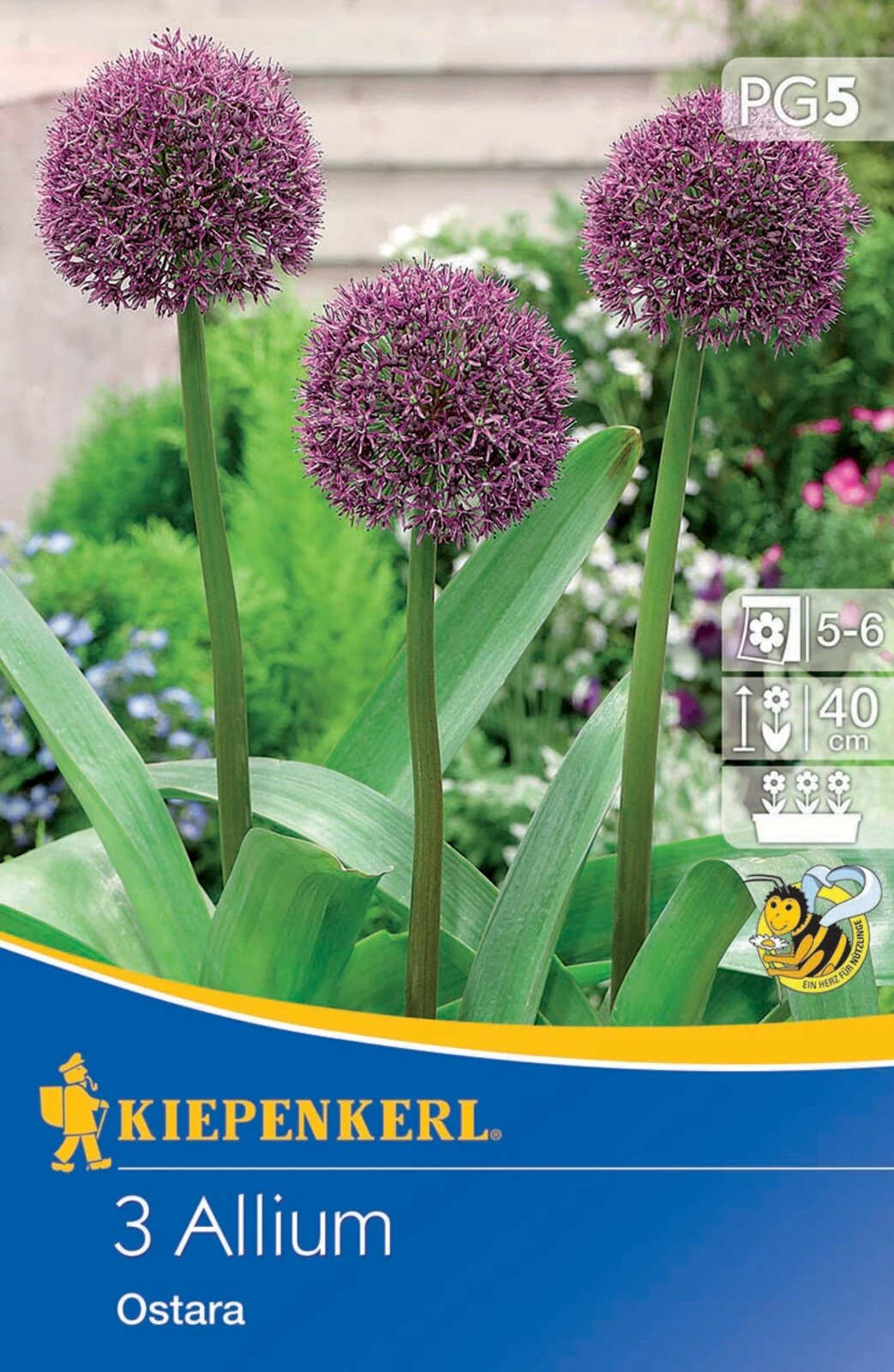 Zierlauch Ostara (3 Stück) | Alliumzwiebeln Von Kiepenkerl 2 Zierlauch Ostara (3 Stück) | Alliumzwiebeln Von Kiepenkerl – Bild 2