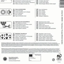 Narzisse British Gamble (5 Stück) | Narzissenzwiebeln Von Kiepenkerl