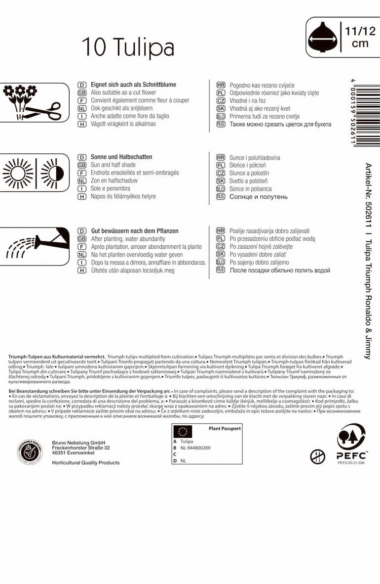 Triumph-Tulpe Halloween Mischung (10 Stück) | Tulpenzwiebeln Von Kiepenkerl 1 Triumph-Tulpe Halloween Mischung (10 Stück) | Tulpenzwiebeln Von Kiepenkerl