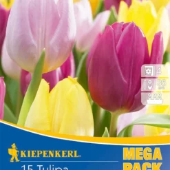 Mega-Pack Einfache Frühe Tulpe Princen Mischung (15 Stück) | Tulpenzwiebeln Von Kiepenkerl