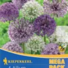 Mega-Pack Zierlauch Großblumige Mischung (4 Stück) | Alliumzwiebeln Von Kiepenkerl