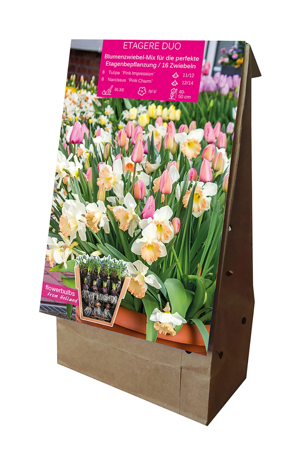 Etagere Duo (16 Stück) | Blumenzwiebelmischungen Von Young Generation 2 Etagere Duo (16 Stück) | Blumenzwiebelmischungen Von Young Generation – Bild 2