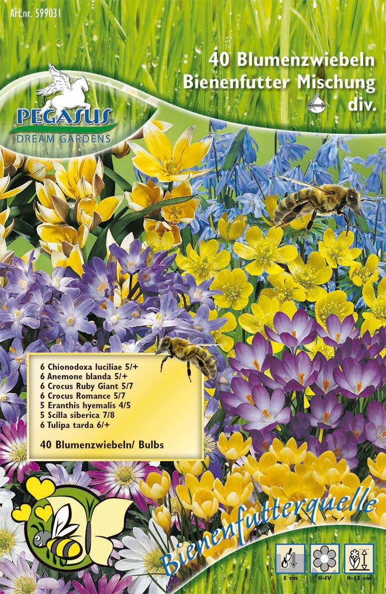 Bienenfutterquelle Mischung (40 Stück) | Blumenzwiebelmischung Von Pegasus 1 Bienenfutterquelle Mischung (40 Stück) | Blumenzwiebelmischung Von Pegasus