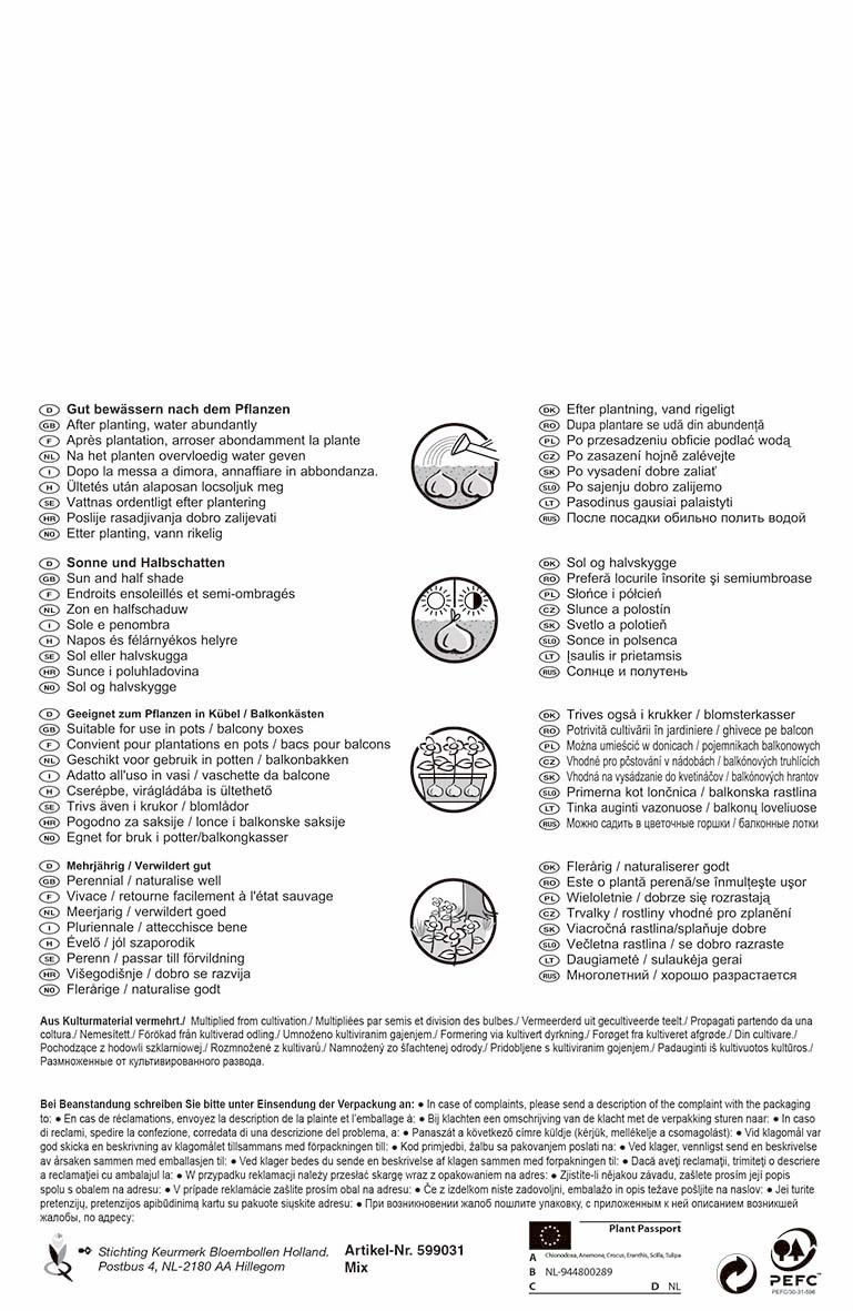 Bienenfutterquelle Mischung (40 Stück) | Blumenzwiebelmischung Von Pegasus 2 Bienenfutterquelle Mischung (40 Stück) | Blumenzwiebelmischung Von Pegasus – Bild 2