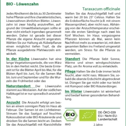 Löwenzahn | BIO Löwenzahnsamen Von Saflax