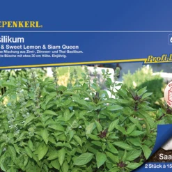 Basilikum Cino Sweet Lemon Siam Queen Doppeltüte (Saatteppich) | Basilikumsamen Von Kiepenkerl