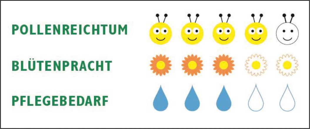 Bienenschmaus (100 G) | Bienenwiese Von Samen Pfann 2 Bienenschmaus (100 G) | Bienenwiese Von Samen Pfann – Bild 2