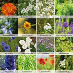 Wildbienen - Weide Im 1 L Eimer | Bienenwiese Von N.L. Chrestensen 10 Wildbienen - Weide Im 1 L Eimer | Bienenwiese Von N.L. Chrestensen -Blumen Raum Verkaufsgeschäft 540519 Wildbienen Weide im 1 l Eimer 1