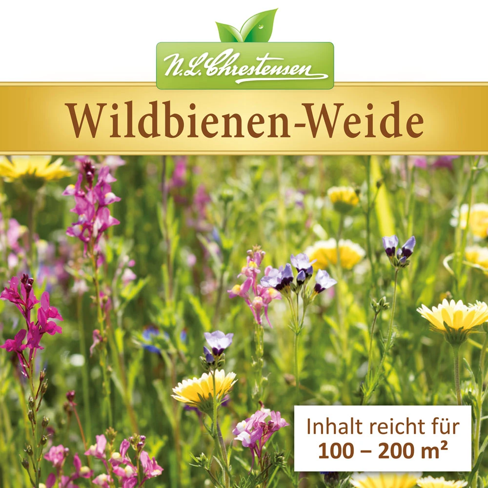 Wildbienen - Weide Im 1 L Eimer | Bienenwiese Von N.L. Chrestensen 3 Wildbienen - Weide Im 1 L Eimer | Bienenwiese Von N.L. Chrestensen – Bild 3