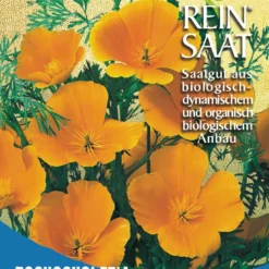 Kalifornischer Mohn Goldmohn | BIO Mohnsamen Von Reinsaat