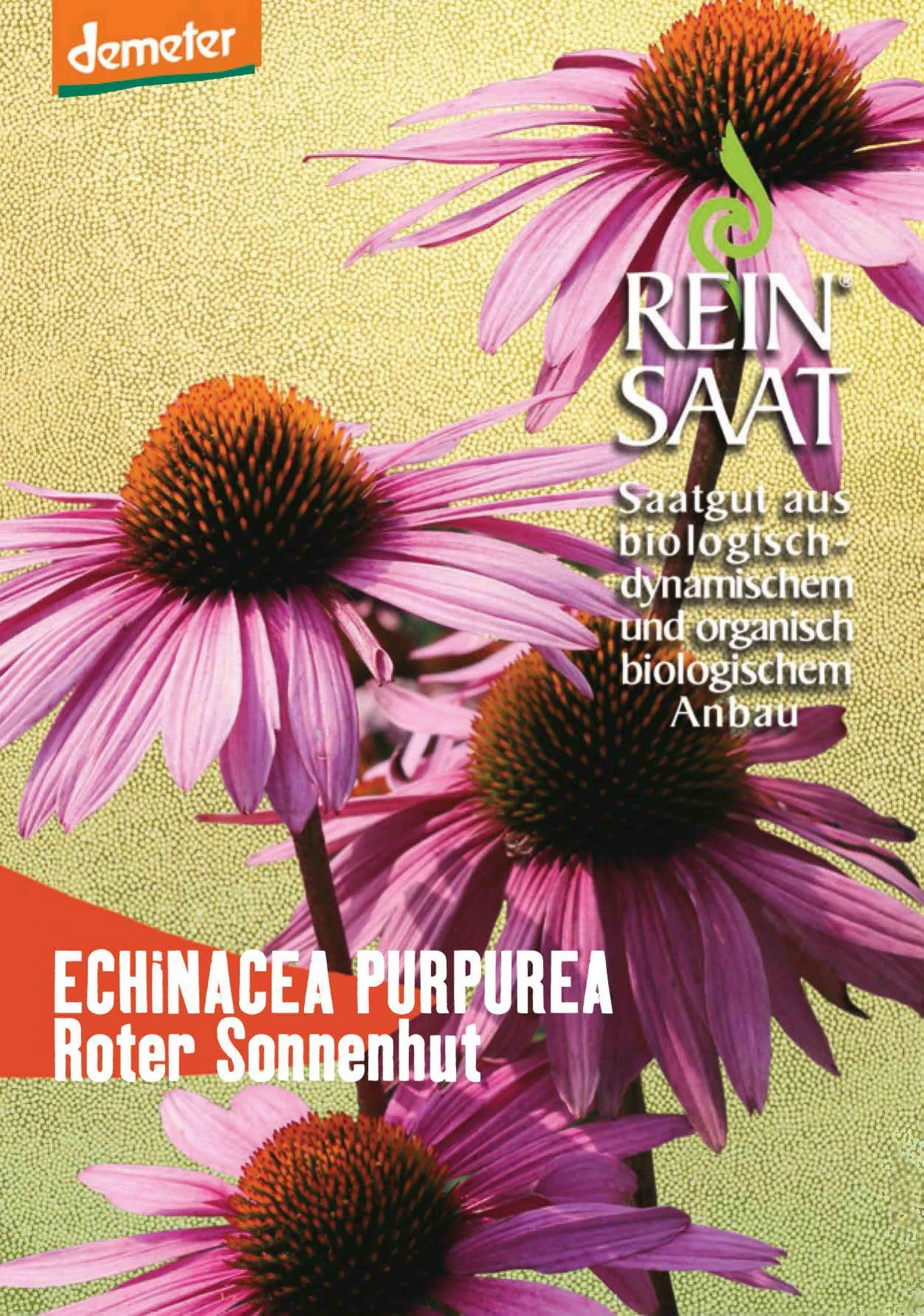 Roter Sonnenhut | BIO Sonnenhutsamen Von Reinsaat 1 Roter Sonnenhut | BIO Sonnenhutsamen Von Reinsaat