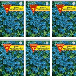 Vergissmeinnicht 10er Pack | Vergissmeinnichtsamen Von Frankonia Samen