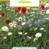 Blumenwiese Feldblumen (100 G) | Blumensamen Von Bertrand