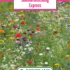 Blumenwiese Sommermischung Express (100 G) | Blumensamen Von Bertrand